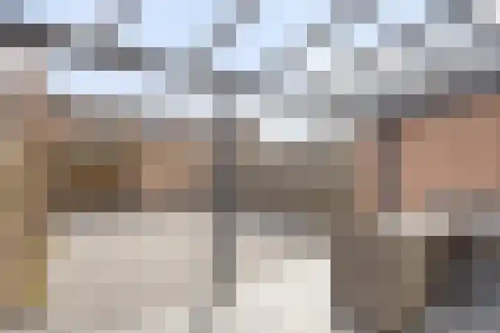 Populier 74 Best thumbnail 26