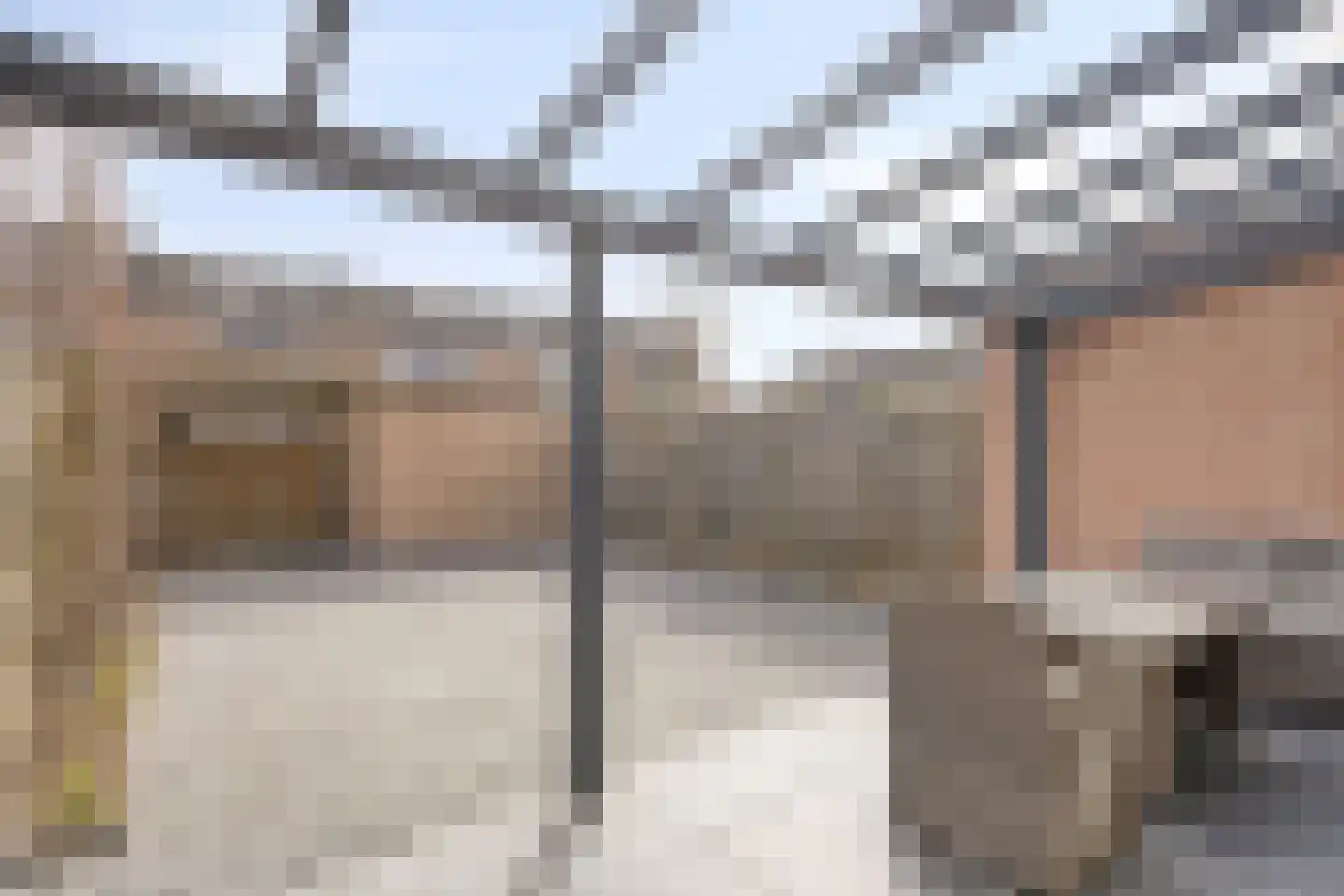 Populier 74 Best thumbnail 26