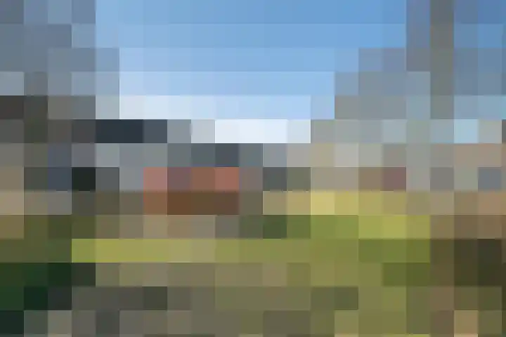 Populier 74 Best thumbnail 27