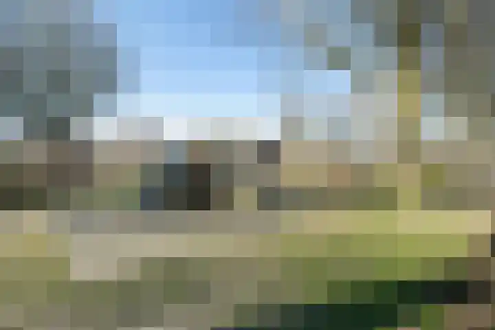 Populier 74 Best thumbnail 28