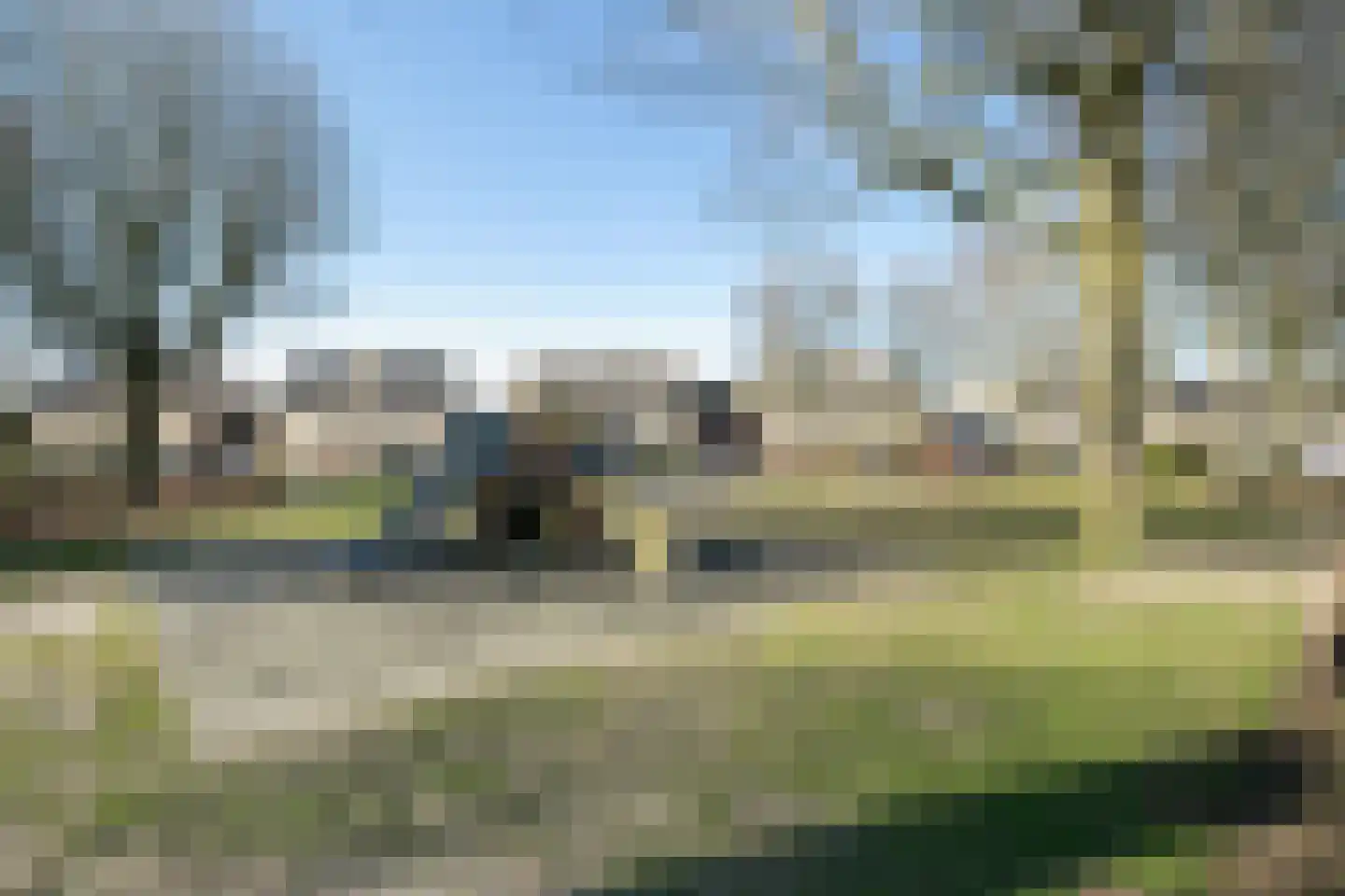 Populier 74 Best thumbnail 28