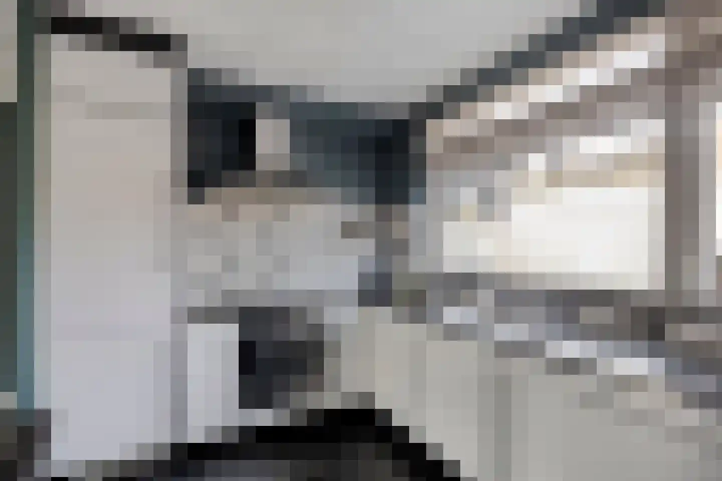 Populier 74 Best thumbnail 4