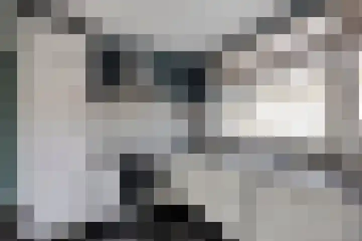 Populier 74 Best thumbnail 4