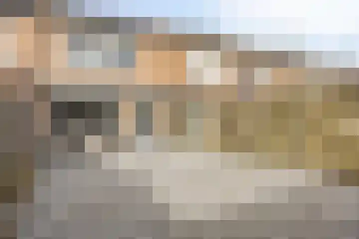 Populier 74 Best thumbnail 5
