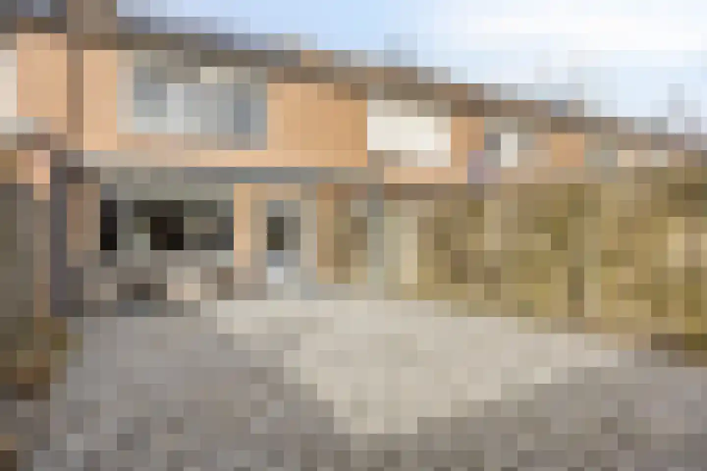 Populier 74 Best thumbnail 5