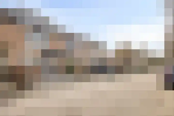 Populier 74 Best thumbnail 6