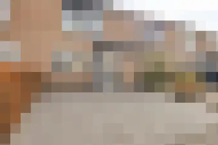 Populier 74 Best thumbnail 7