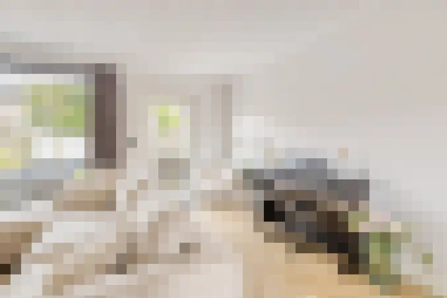 Populier 76 Best thumbnail 11