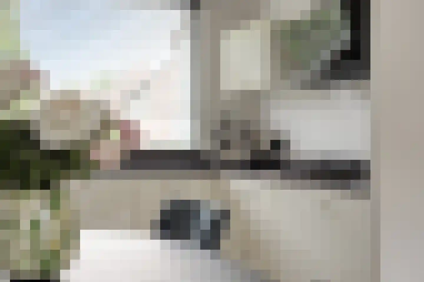 Populier 76 Best thumbnail 24