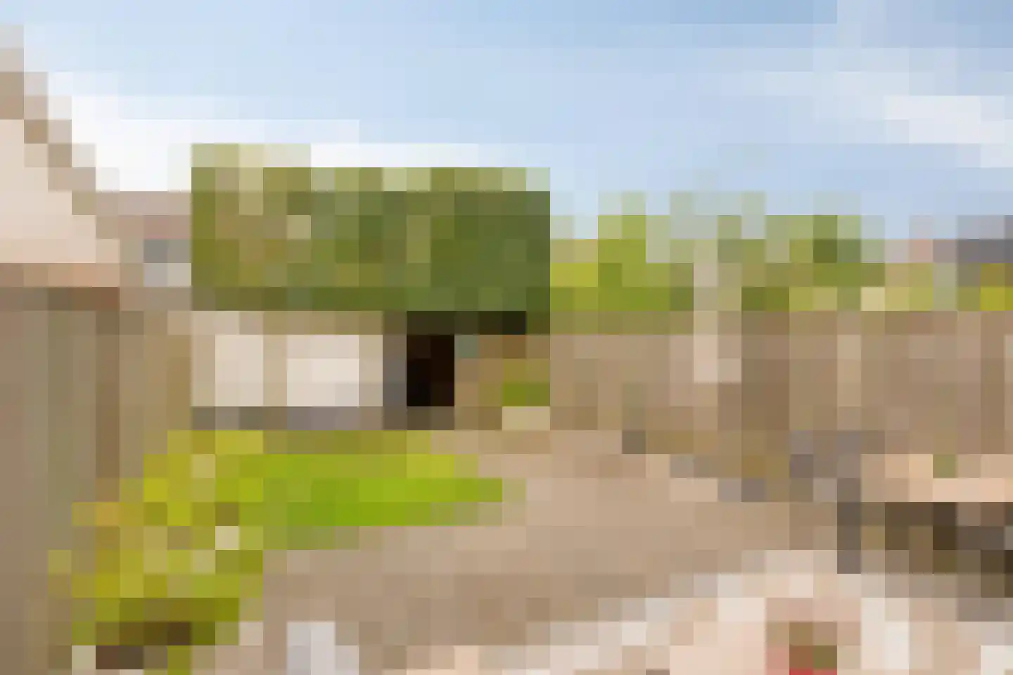 Populier 76 Best thumbnail 4