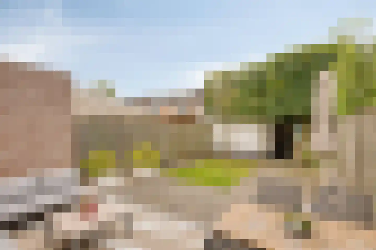 Populier 76 Best thumbnail 41