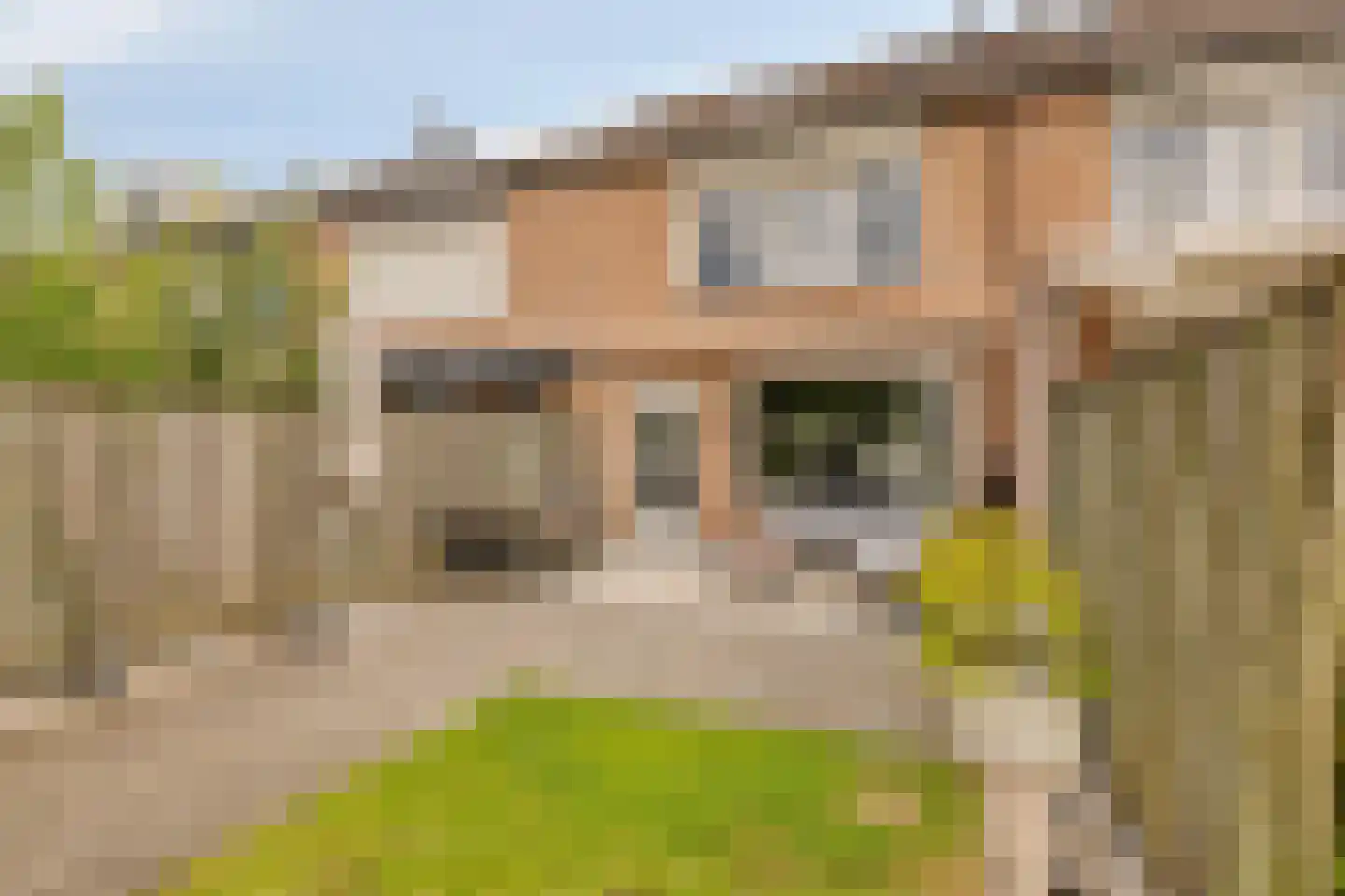 Populier 76 Best thumbnail 44