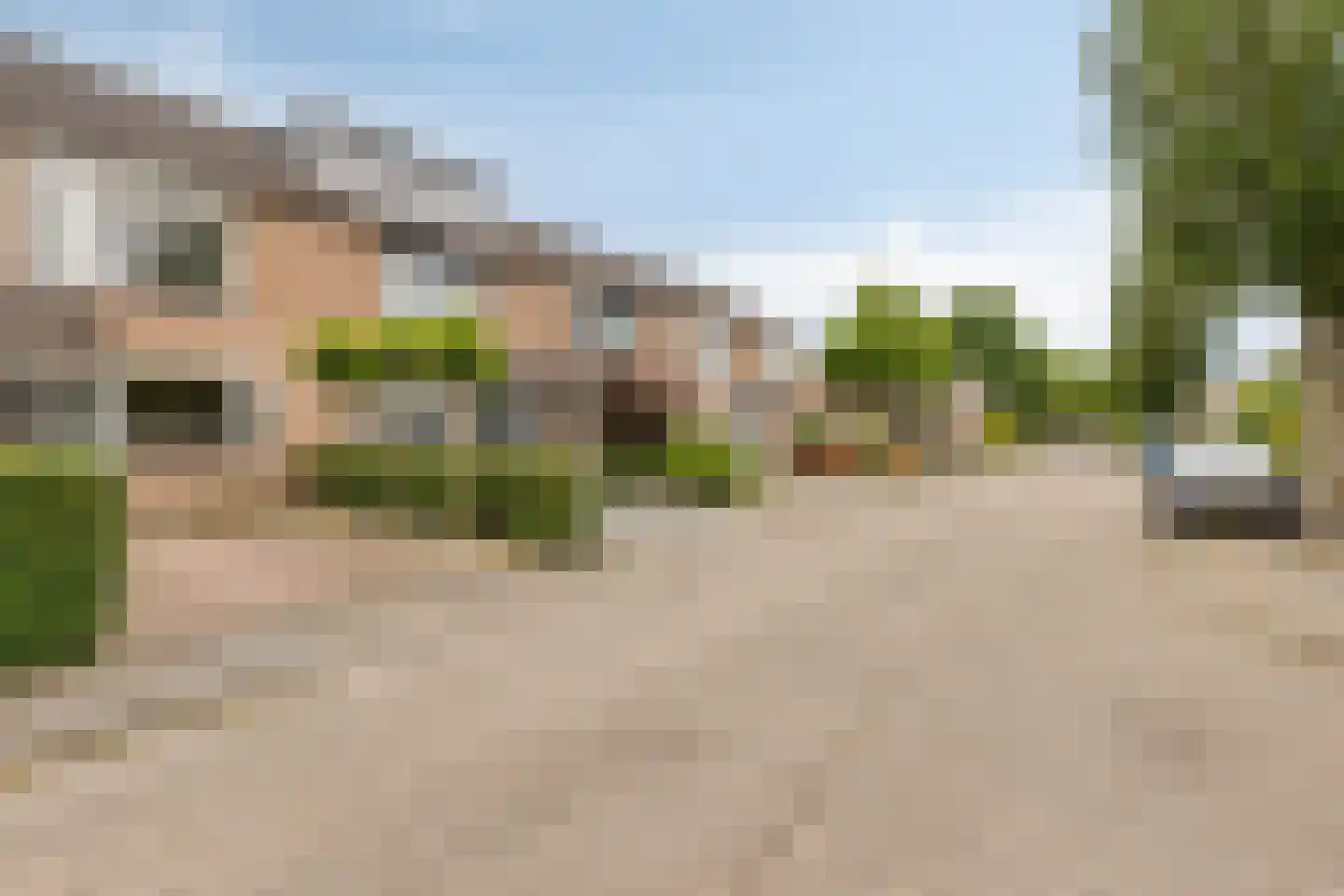 Populier 76 Best thumbnail 47