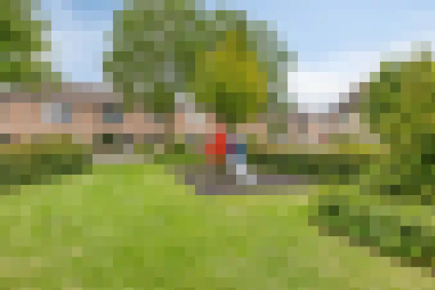 Populier 76 Best thumbnail 49