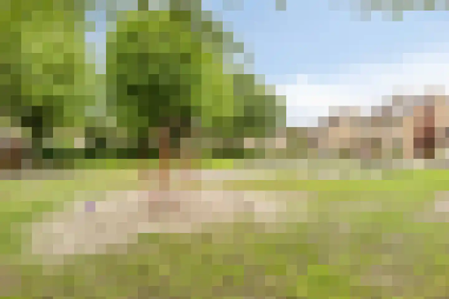 Populier 76 Best thumbnail 50
