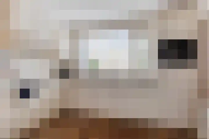 Populier 78 Best thumbnail 11