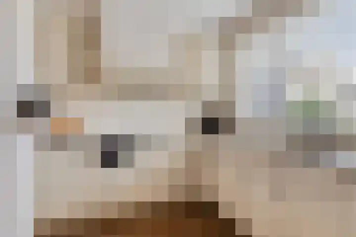 Populier 78 Best thumbnail 12