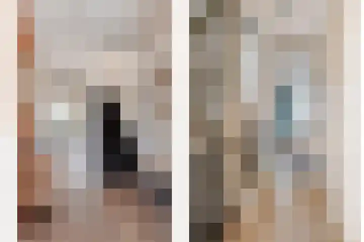 Populier 78 Best thumbnail 13