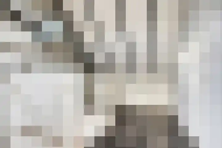 Populier 78 Best thumbnail 22
