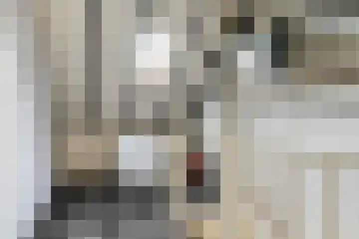 Populier 78 Best thumbnail 23