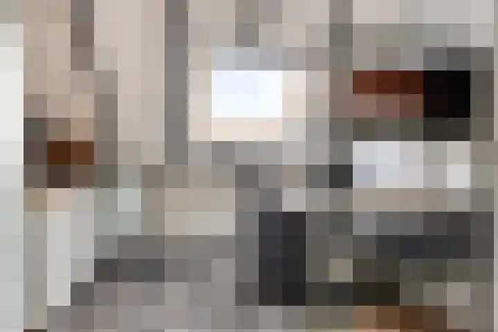 Populier 78 Best thumbnail 24