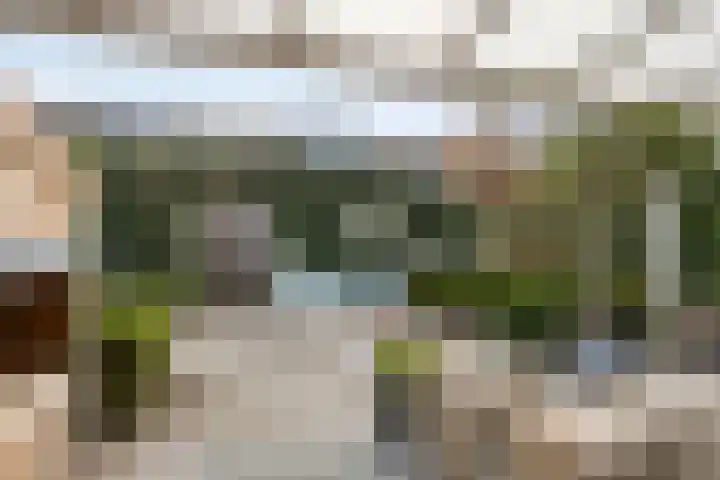 Populier 78 Best thumbnail 25