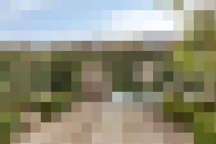 Populier 78 Best thumbnail 26