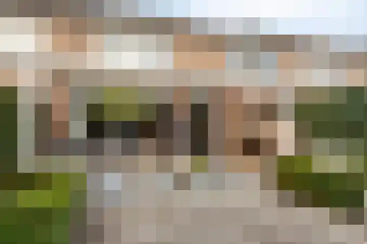 Populier 78 Best thumbnail 27