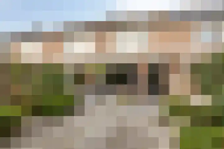 Populier 78 Best thumbnail 28