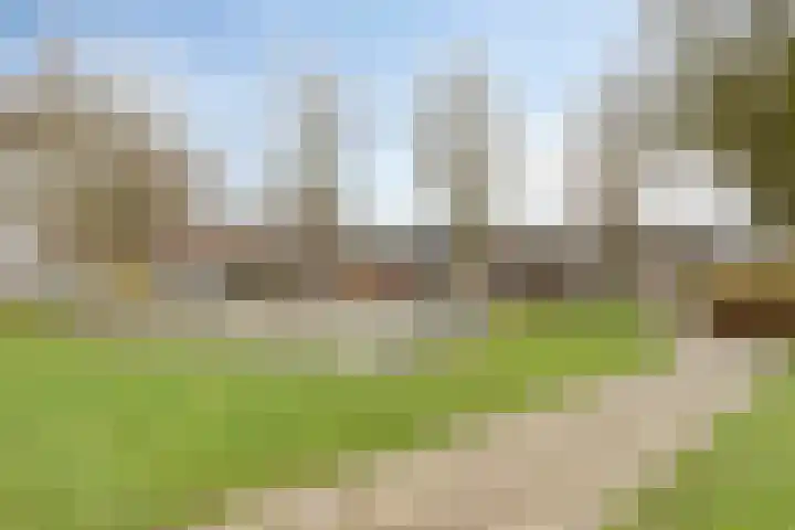 Populier 78 Best thumbnail 29
