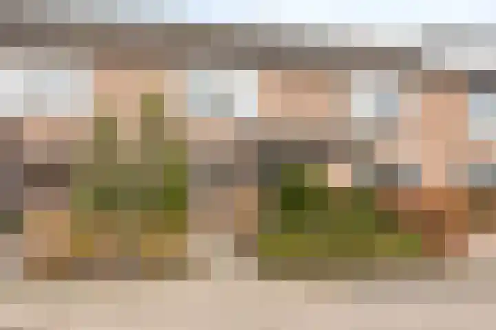 Populier 78 Best thumbnail 32