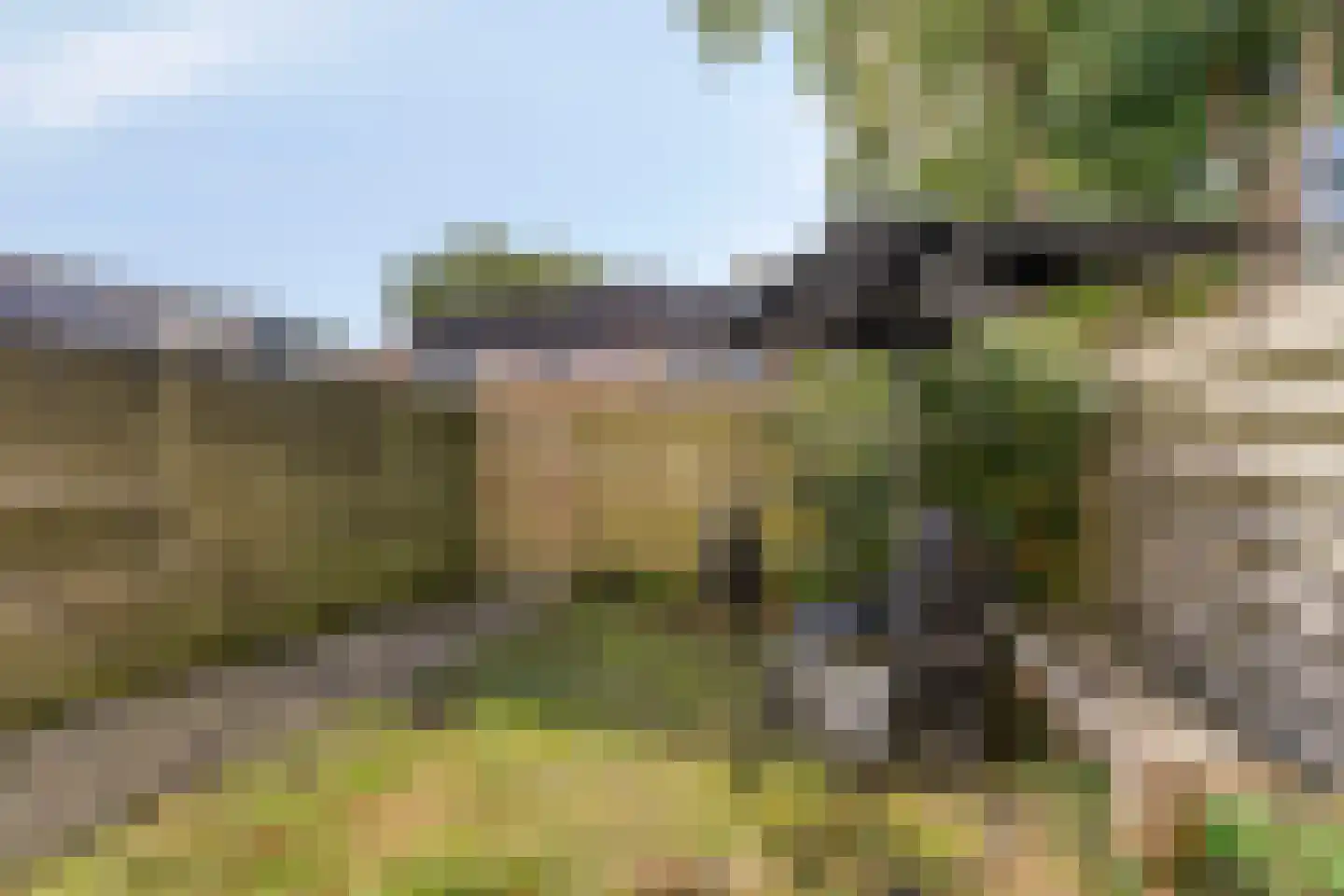 Populier 9 Heerenveen thumbnail 18
