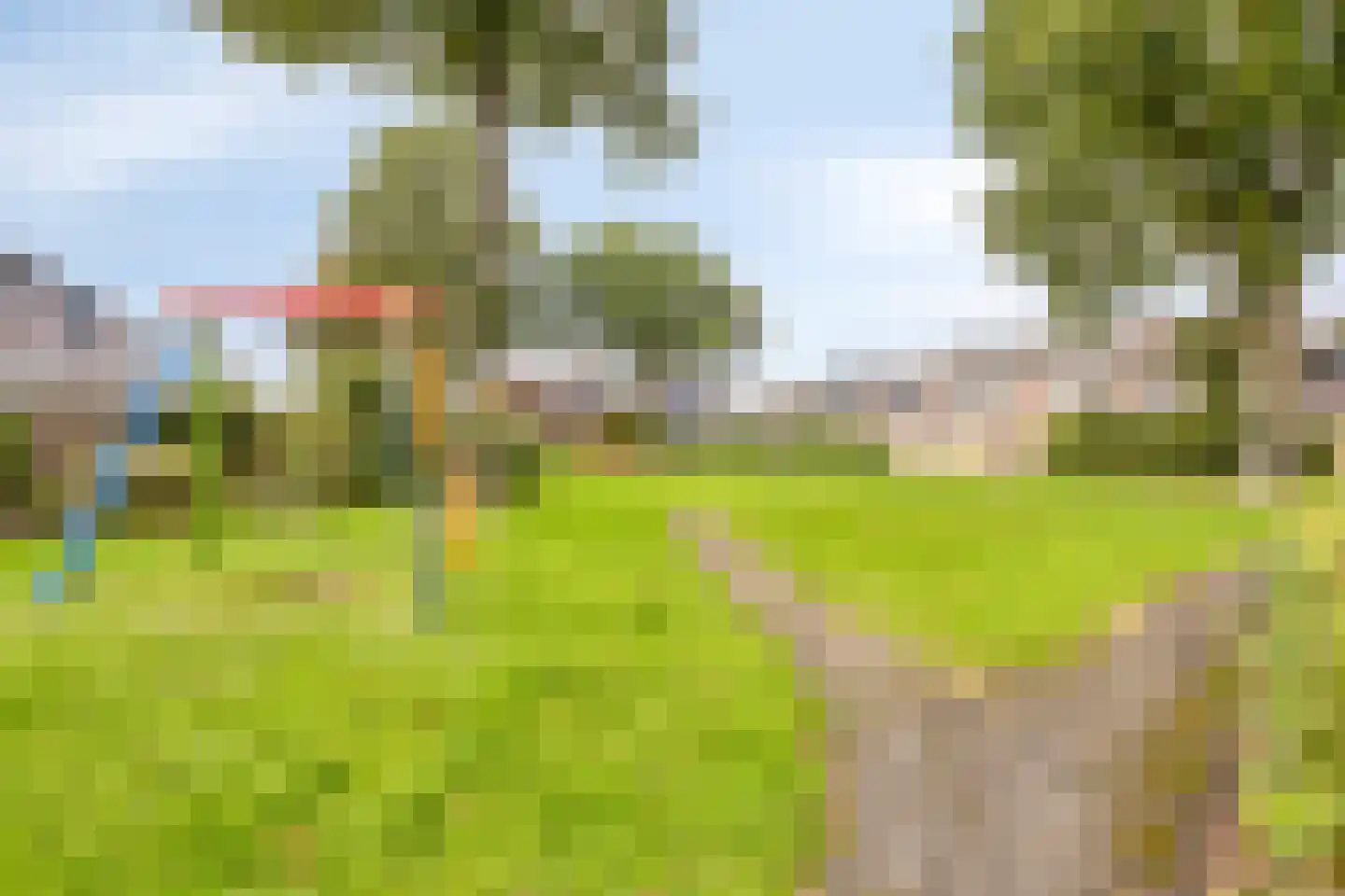 Populier 9 Heerenveen thumbnail 21