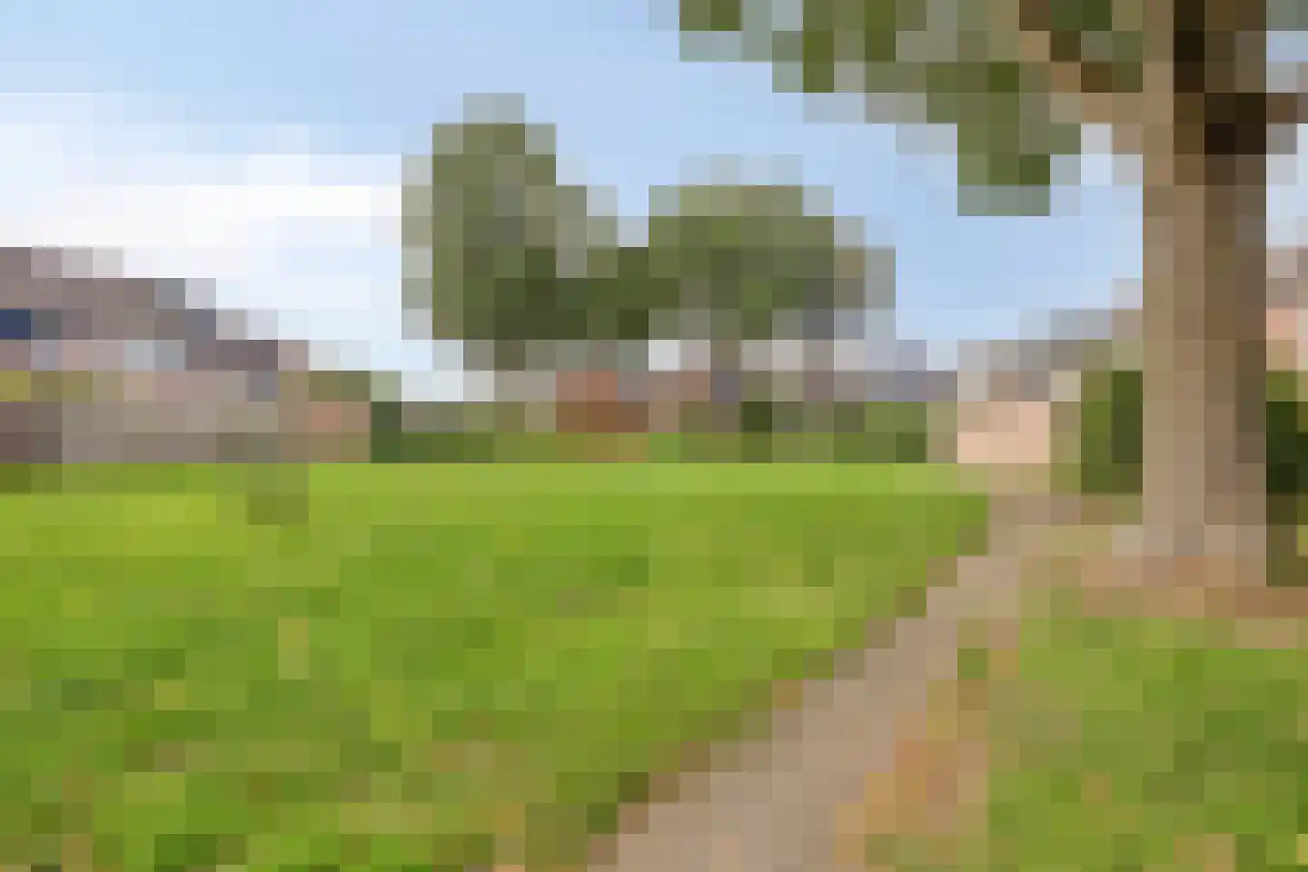 Populier 9 Heerenveen thumbnail 22