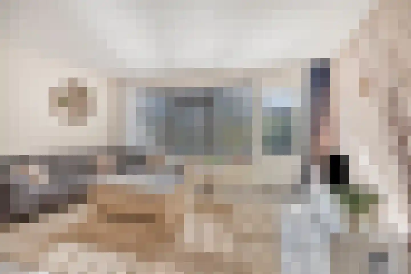 Populier 9 Heerenveen thumbnail 5