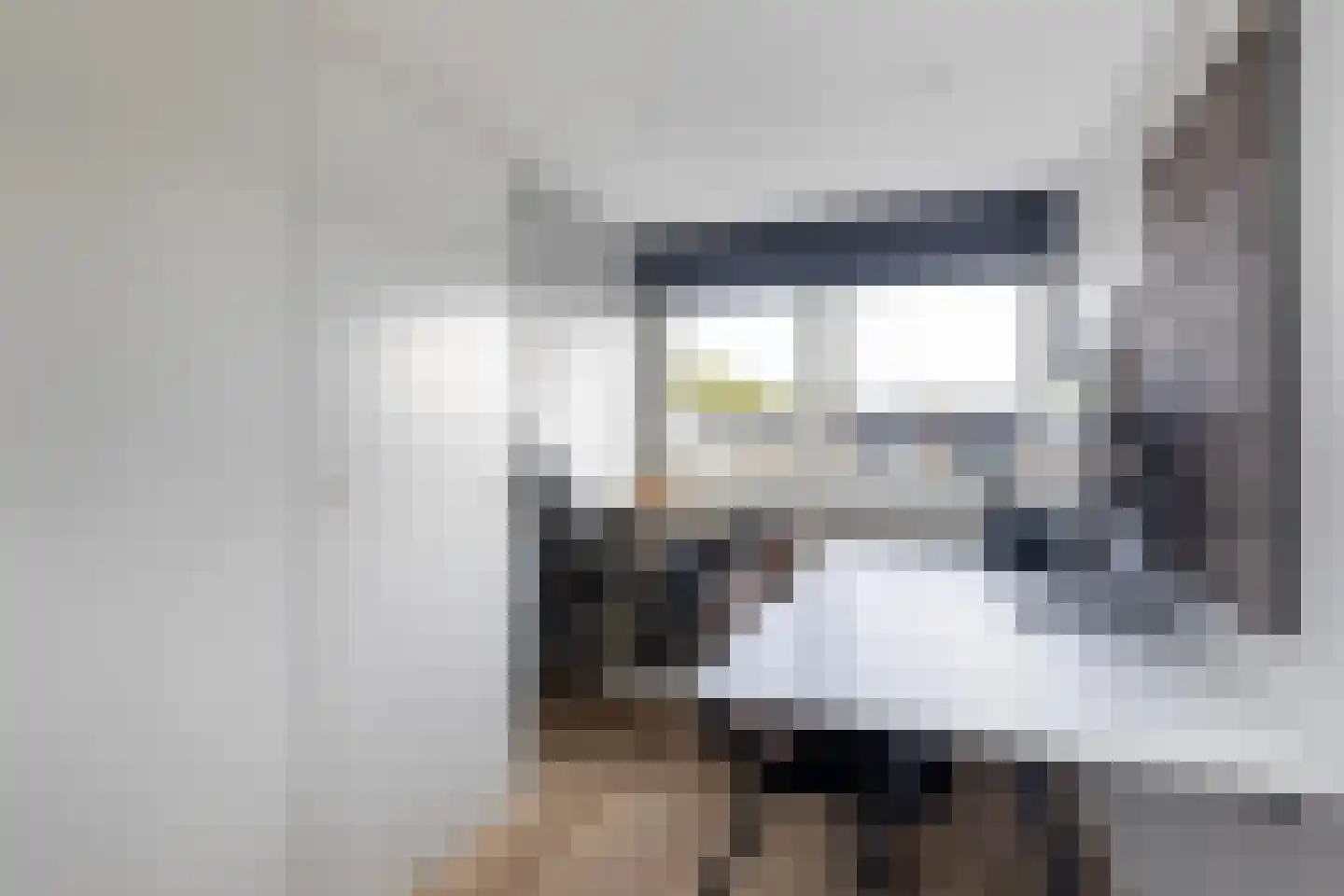 Populierendal 92 Maassluis thumbnail 43