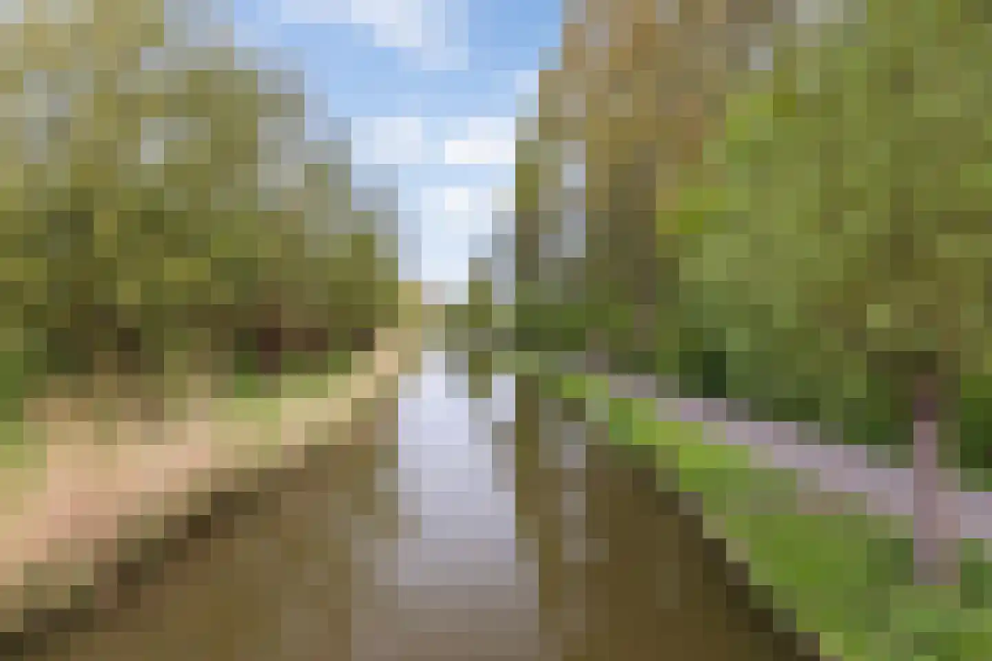 Populierendal 92 Maassluis thumbnail 48