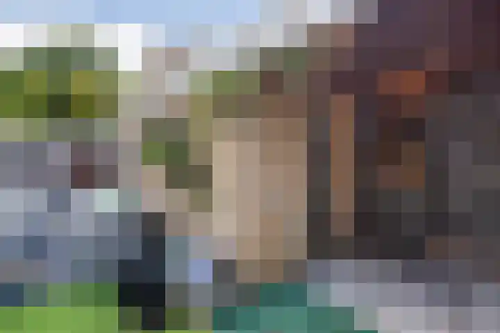 Populierendal 96 Maassluis thumbnail 26