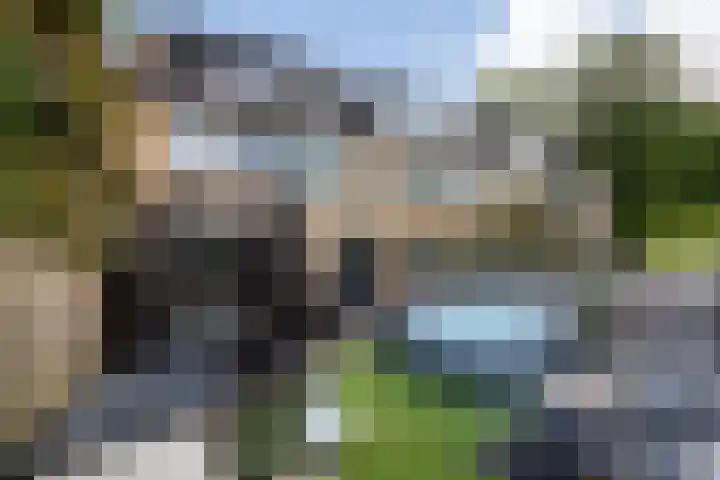 Populierendal 96 Maassluis thumbnail 27