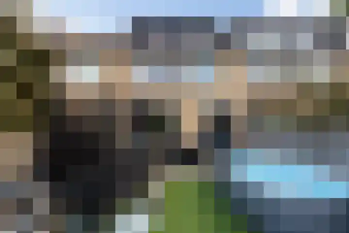 Populierendal 96 Maassluis thumbnail 28