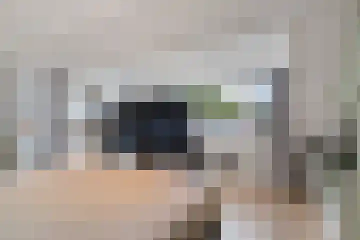 Populierendal 96 Maassluis thumbnail 44