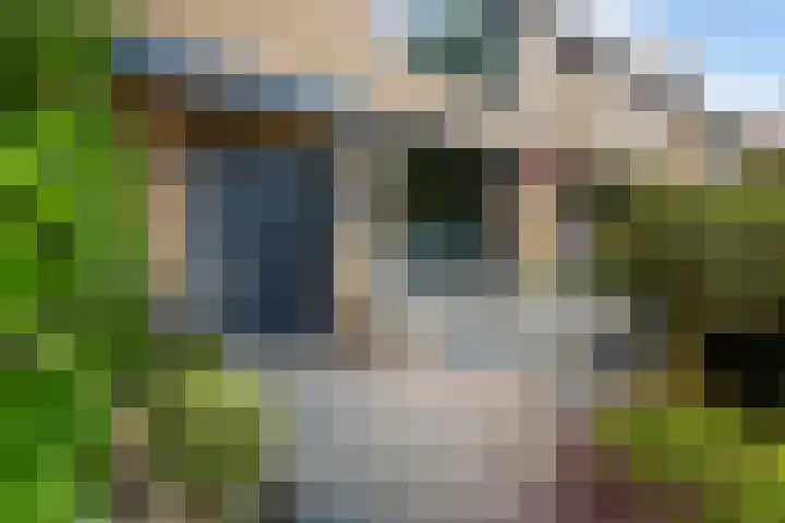 Populierendal 96 Maassluis thumbnail 9