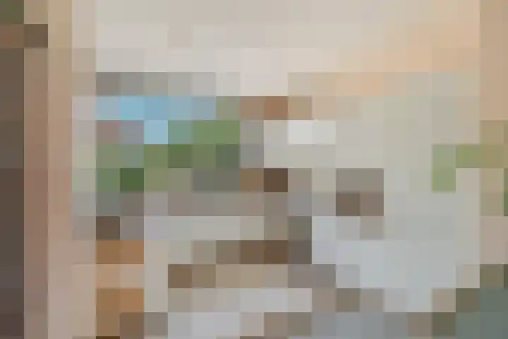 Populierendreef 1 Vlaardingen thumbnail 11