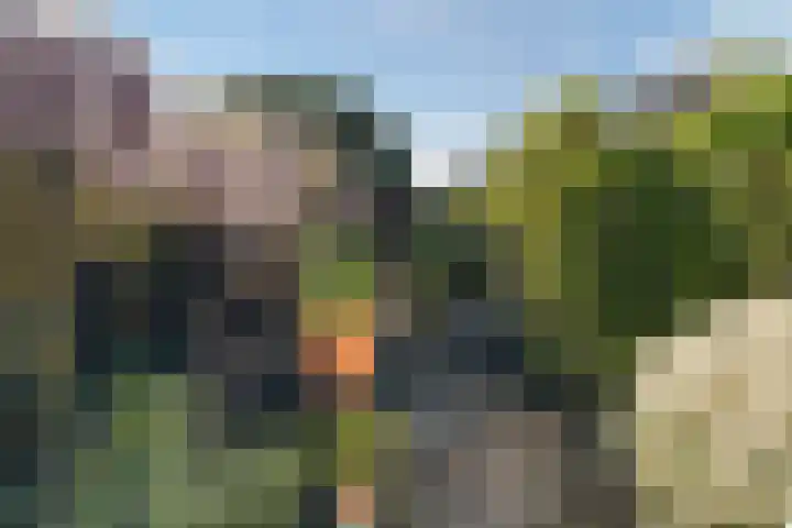 Populierendreef 1 Vlaardingen thumbnail 16
