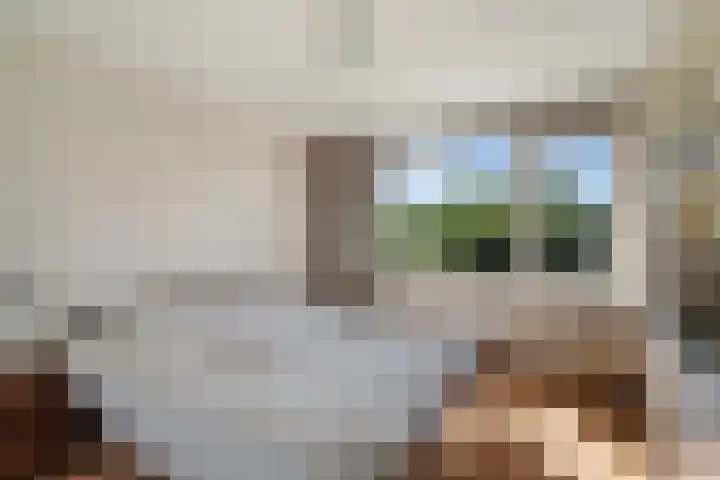Populierendreef 1 Vlaardingen thumbnail 26
