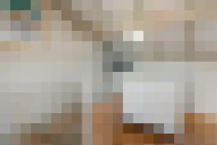 Populierendreef 1 Vlaardingen thumbnail 33