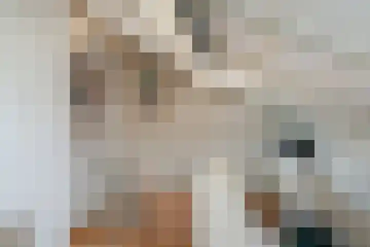 Populierendreef 1 Vlaardingen thumbnail 34