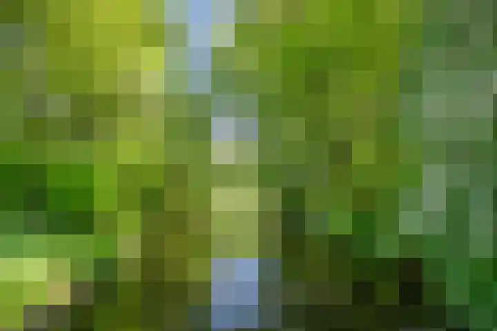 Populierendreef 1 Vlaardingen thumbnail 37
