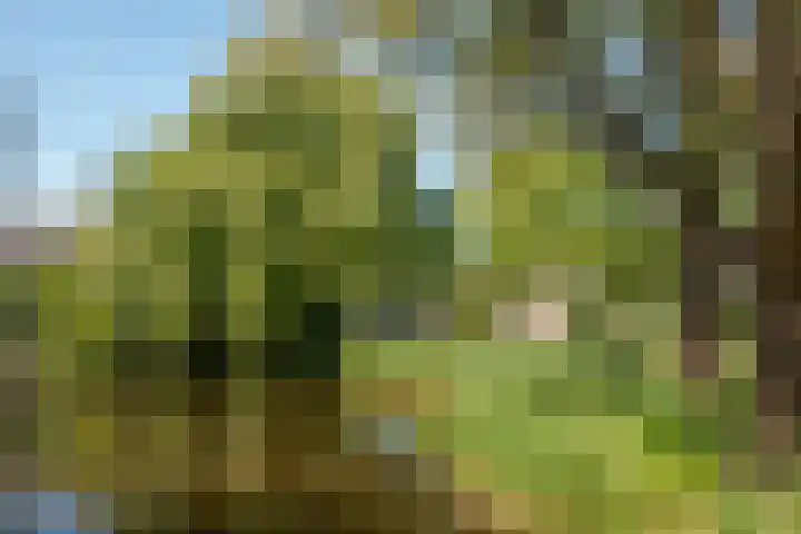 Populierendreef 1 Vlaardingen thumbnail 38