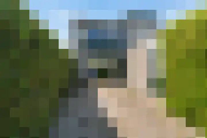 Populierendreef 1 Vlaardingen thumbnail 4
